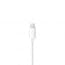 Apple EarPods with Lightning Connector